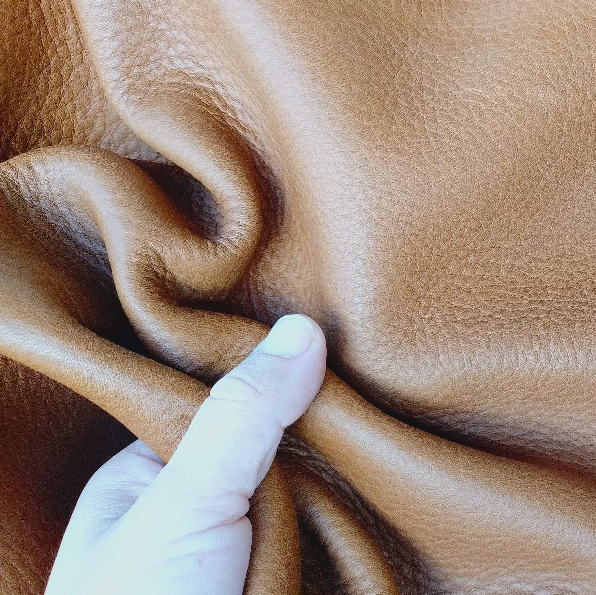 Cuir pleine fleur souple tannage chrome 